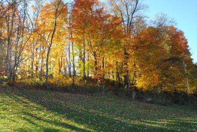 3 Reasons to Visit Ohiopyle This Fall